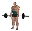 Barbell Curl - Drag
